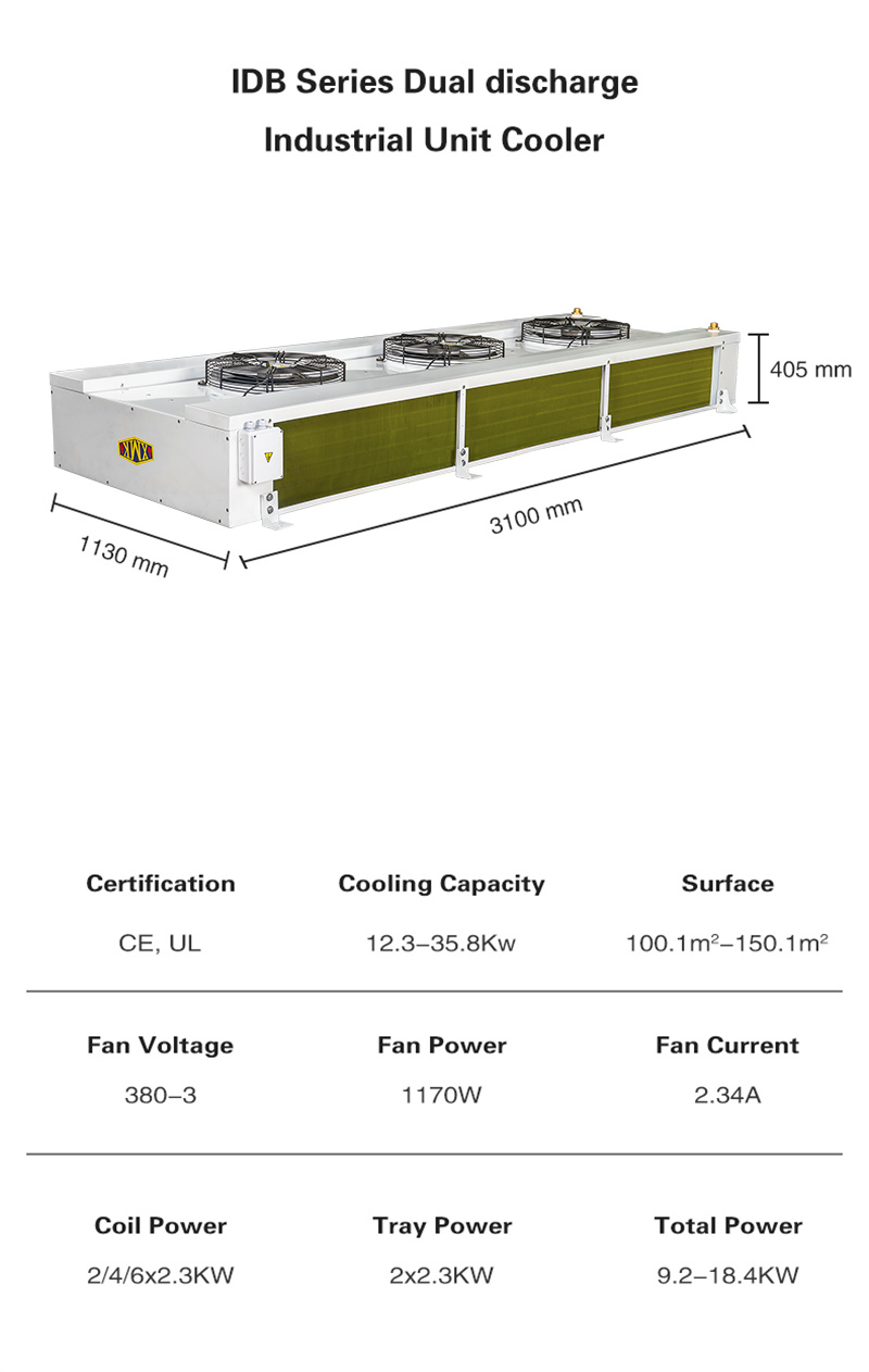 1683775009405694.jpg IBD01 (1).jpg